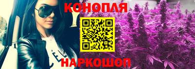 МДПВ Бердск