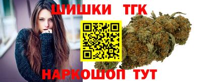 МДПВ Бердск