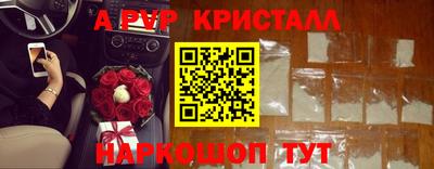 МДПВ Бердск